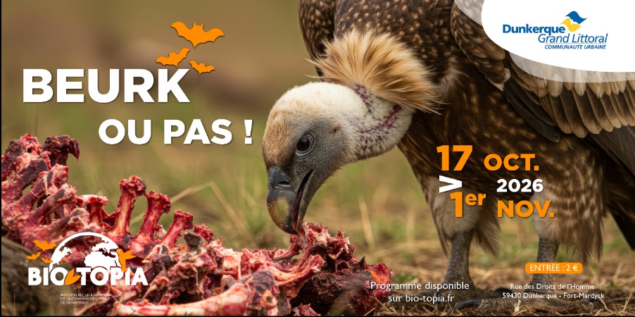 Beurk ou pas ?