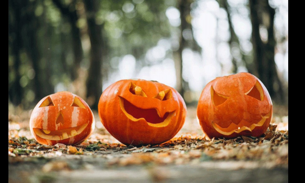 Les vacances d'octobre à la Halle aux sucres